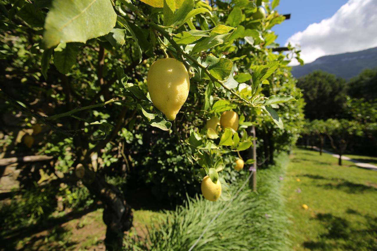 Villa Catie Castellammare di Stabia Exterior foto